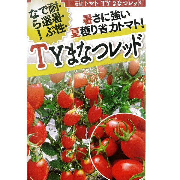 楽天市場】トマト 【レッドオーレ(中玉トマト)】 カネコ交配 種