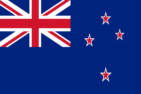 ニュージーランド国旗 綿 サイズ 豪華な