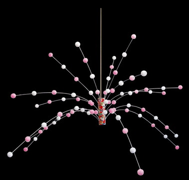 楽天市場 小正月飾り 新餅花 センター 舞玉 領収書発行 あす楽対応 東北 あす楽対応 関東 あす楽対応 甲信越 あす楽対応 北陸 あす楽対応 東海 あす楽対応 近畿 フタバ装飾