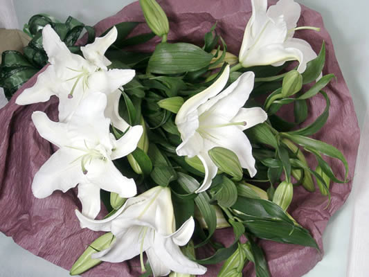 史上最も激安 楽天市場 告白 カサブランカの花束 フタバ園本店 全日本送料無料 Lexusoman Com