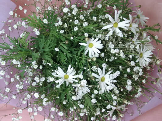 楽天市場 1月の誕生花マーガレットカスミ草の花束 フタバ園本店