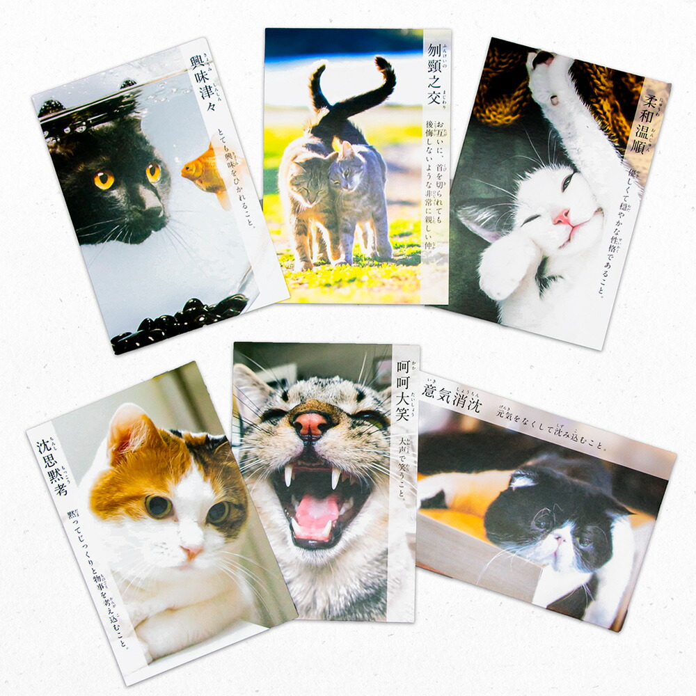 楽天市場】にゃんこ四字熟語 新柄 ポストカード 1枚入 フタバ