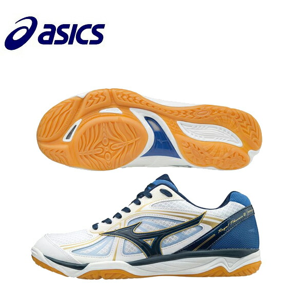 おしゃれ メンズシューズ 25 V1ga1730 Phoenix2 Royal バレーボールシューズ レディース メンズ Mizuno ミズノ Freance Com