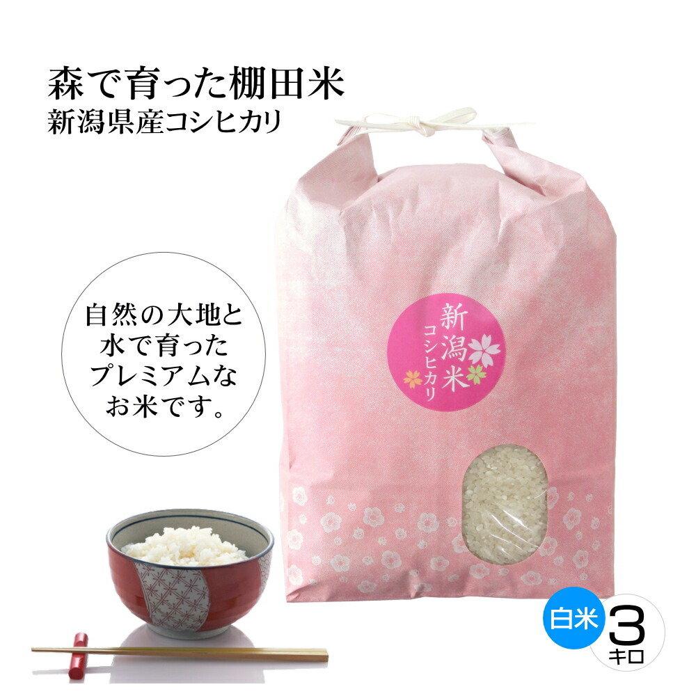 楽天市場】令和6年度産米 岩船産 昔コシヒカリ「侍米」 精米10kg
