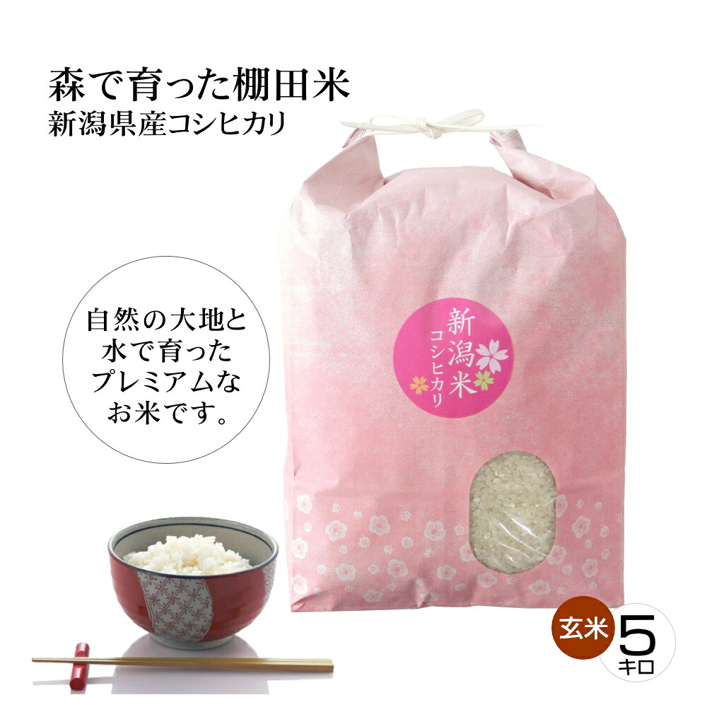 新米 令和7年産 新潟米コシヒカリ 玄米 5キロ 新潟産こしひかり 森で育ったお米 棚田米 プレミアム米 新潟産 産地直送 お祝い、ギフト、贈答に ご自宅、ご家庭、お弁当にも