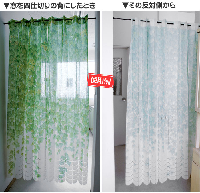 Kodawari Anminkan Accordion Type Noren Ad Ivy Color Green