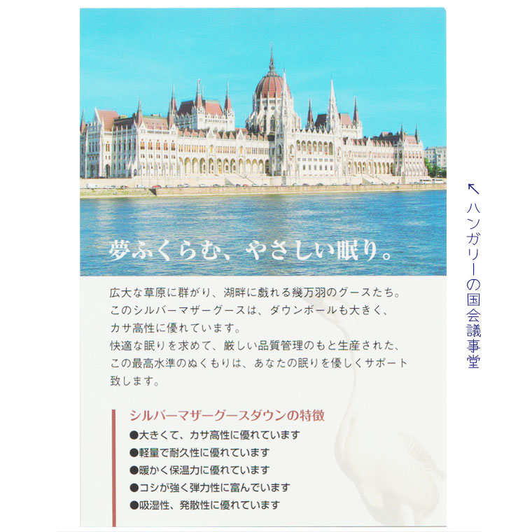 マザーグース93 増量2 1kg 羽毛布団 クイーン ハンガリー産シルバーマザーグース93 クイーンロング Ql 400dp以上 羽毛ふとん グースダウン 80サテン超長綿 あったか ツインキルト 二層 抗菌防臭 Sale セール Hazelwoodconst Com