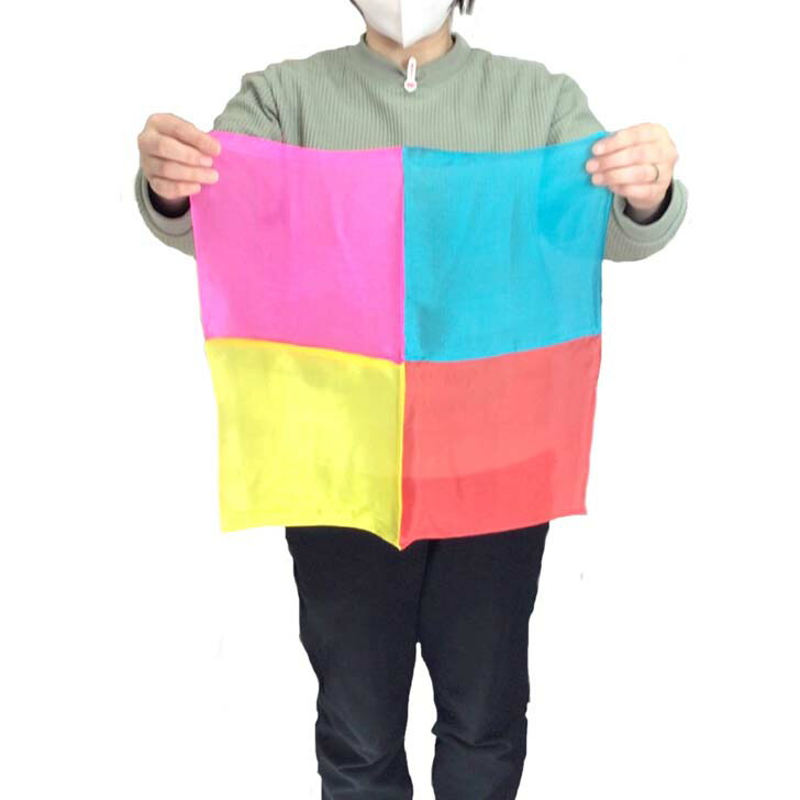 マジックシルク60x60 cm - シルク10パック（盛り合わせ）Magic Silk 60x60 cm - Silk 10-Pack (Assort シルク マジックの通販