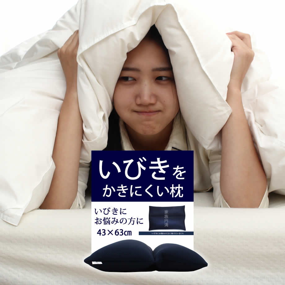 いびき防止枕 nitetronic Yahoo!フリマ（旧）+frutascalero.com