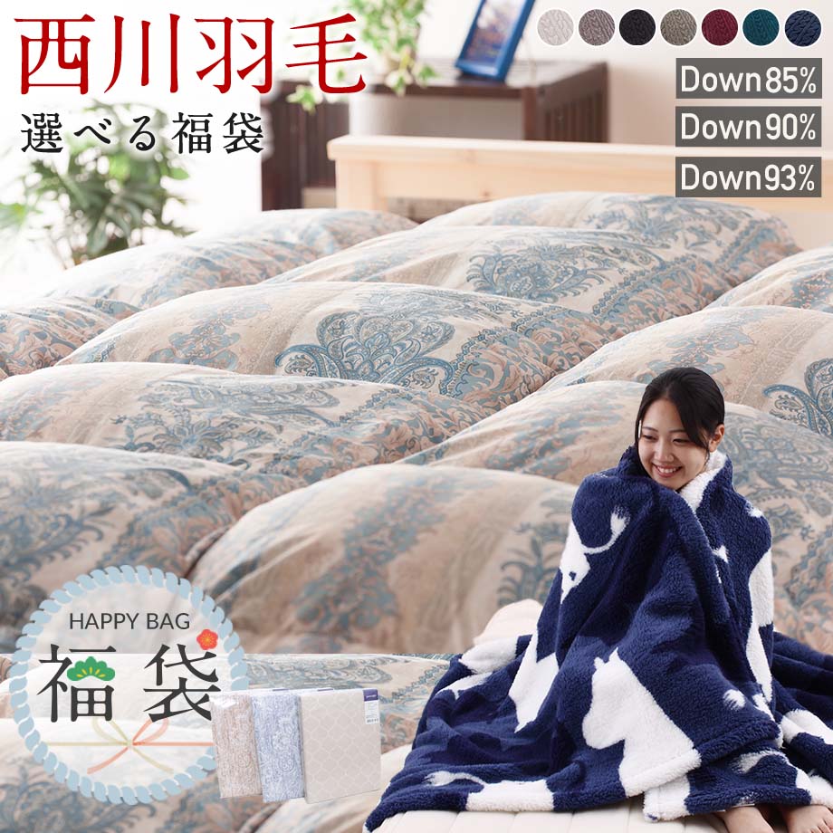 【福袋】西川 暖か羽毛福袋 羽毛布団 シングル 3点セット 再生 グースダウン90％ ホワイトダウン93％ ダウン85％ あったか 選べる 毛布付き ムーミン nocnoc ハッピーバッグ 日本製 西川製 選べる福袋 掛カバー付 2026画像