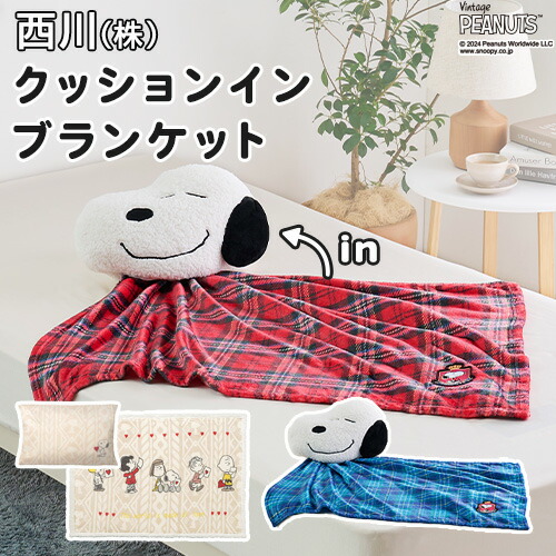 スヌーピー まとめ売り 枕 バッグ 毛布 ブランケット 砂時計 お皿7点(新品) imgrc0090743119.jpg