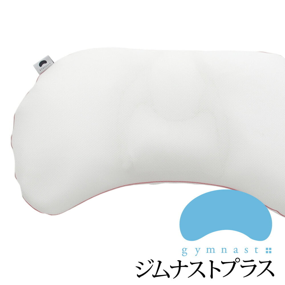 ジムナストプラス (枕カバー 付き) パイプ ビーズ 枕 日本製 寝返りしやすい 洗える 丸洗い gymnast plus ジムナスト 仰向け 横向き 横向き寝 横寝 低め 低い 普通 高め 高い 横長 幅広 ロング ワイド ワイドサイズ 長い 高さ 調整 高さ調整【N】｜私の布団屋さん～ギフト寝具ベビー