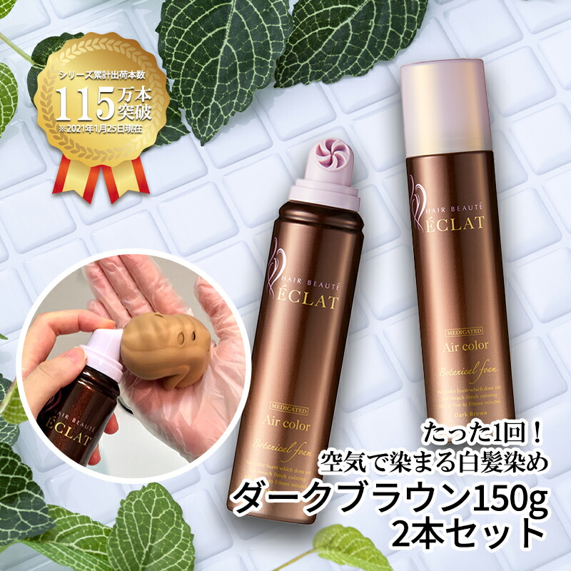 ヘアボーテエクラ ボタニカル エアカラーフォーム ダークブラウン 150g×2本セット|医薬部外品 白髪染め 女性用 男性用 泡 全体染め 部分染め