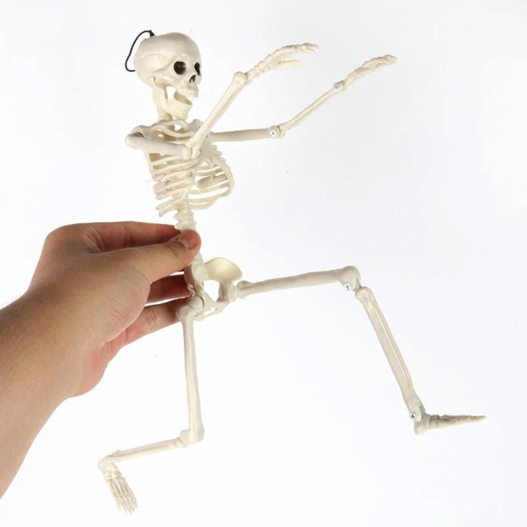 新品　ハロウィン スケルトン フィドラーズ デュオ ハロウィン スケルトン フィドラーズ デュオ | Costco Japan