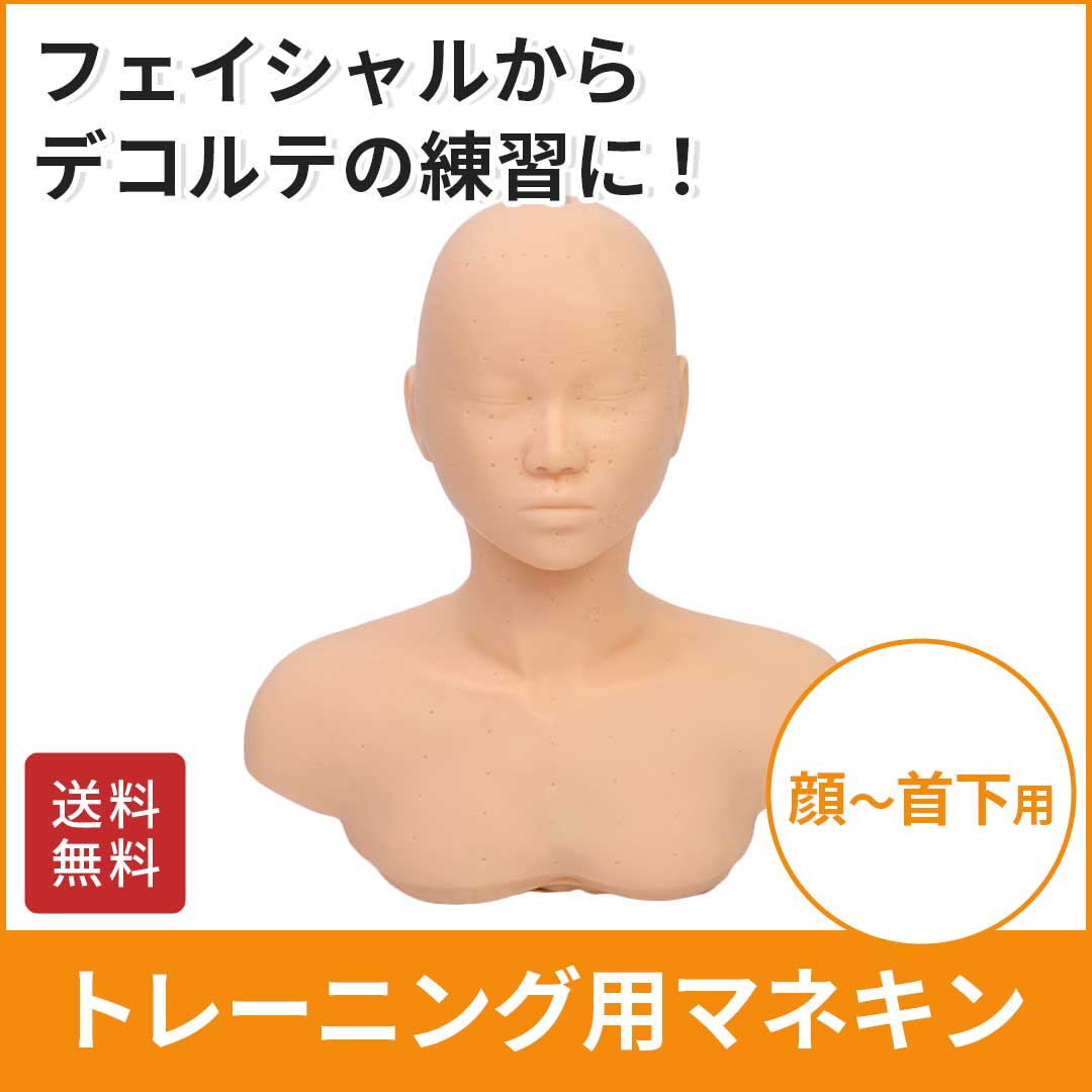 楽天市場】マネキン 練習 マネキンヘッド 頭 練習用 ヘッド マッサージ