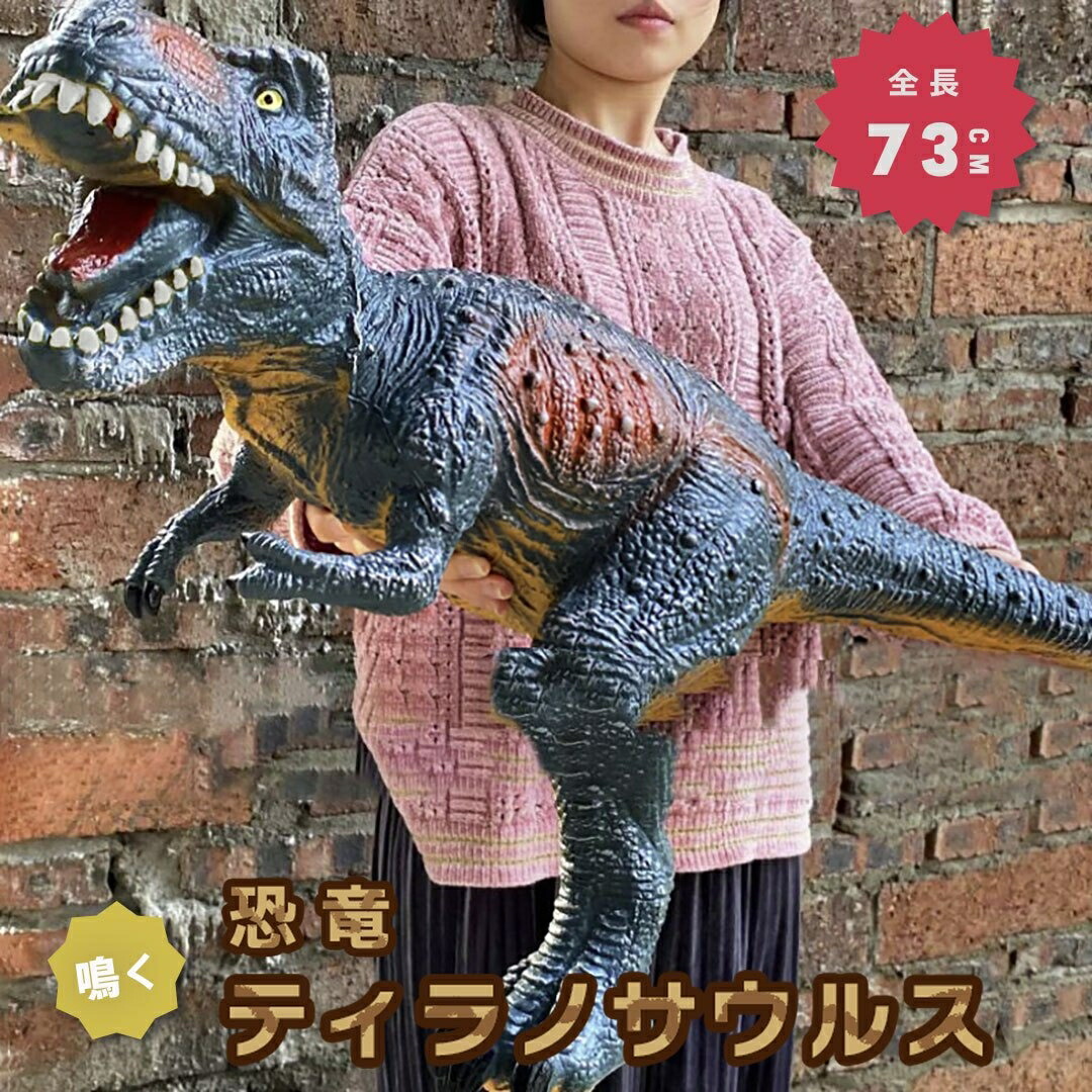 恐竜ラジコン imgrc0113594430.jpg