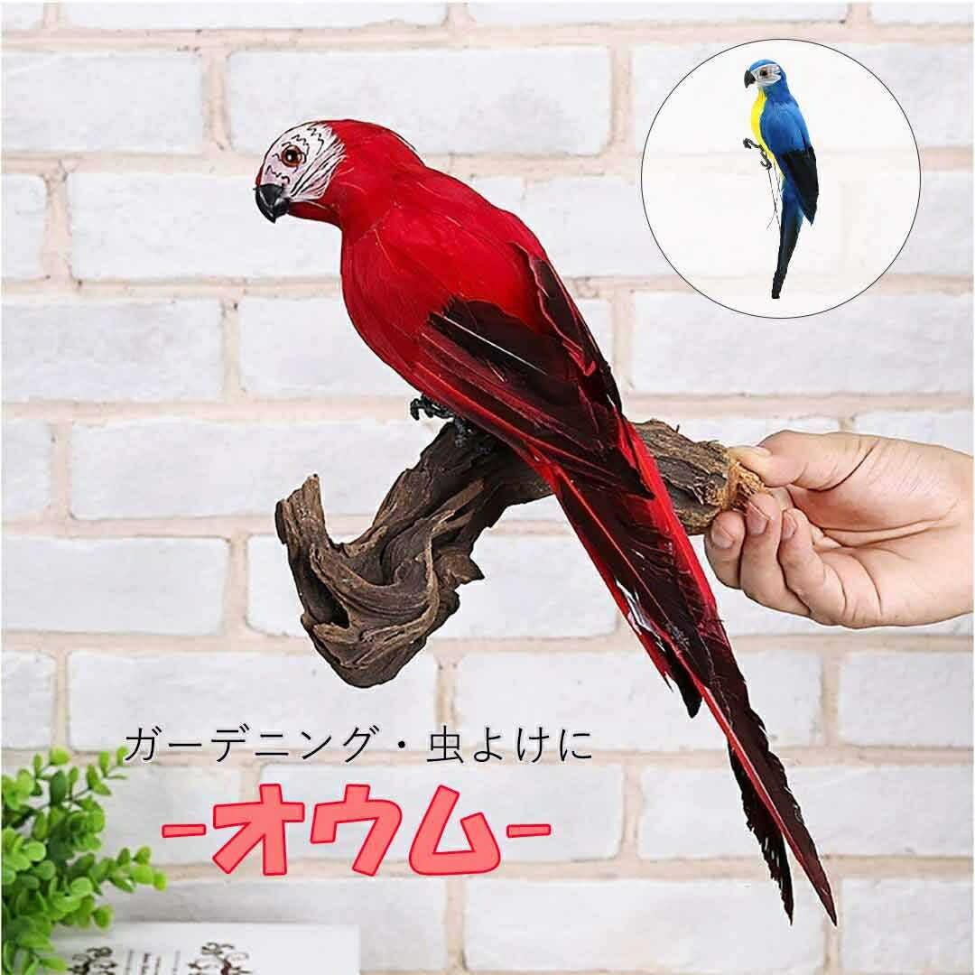オウムスタンド(ヨウム用) HOEI オウムスタンド大 ヨウム 大型インコ&オウム | チャーム