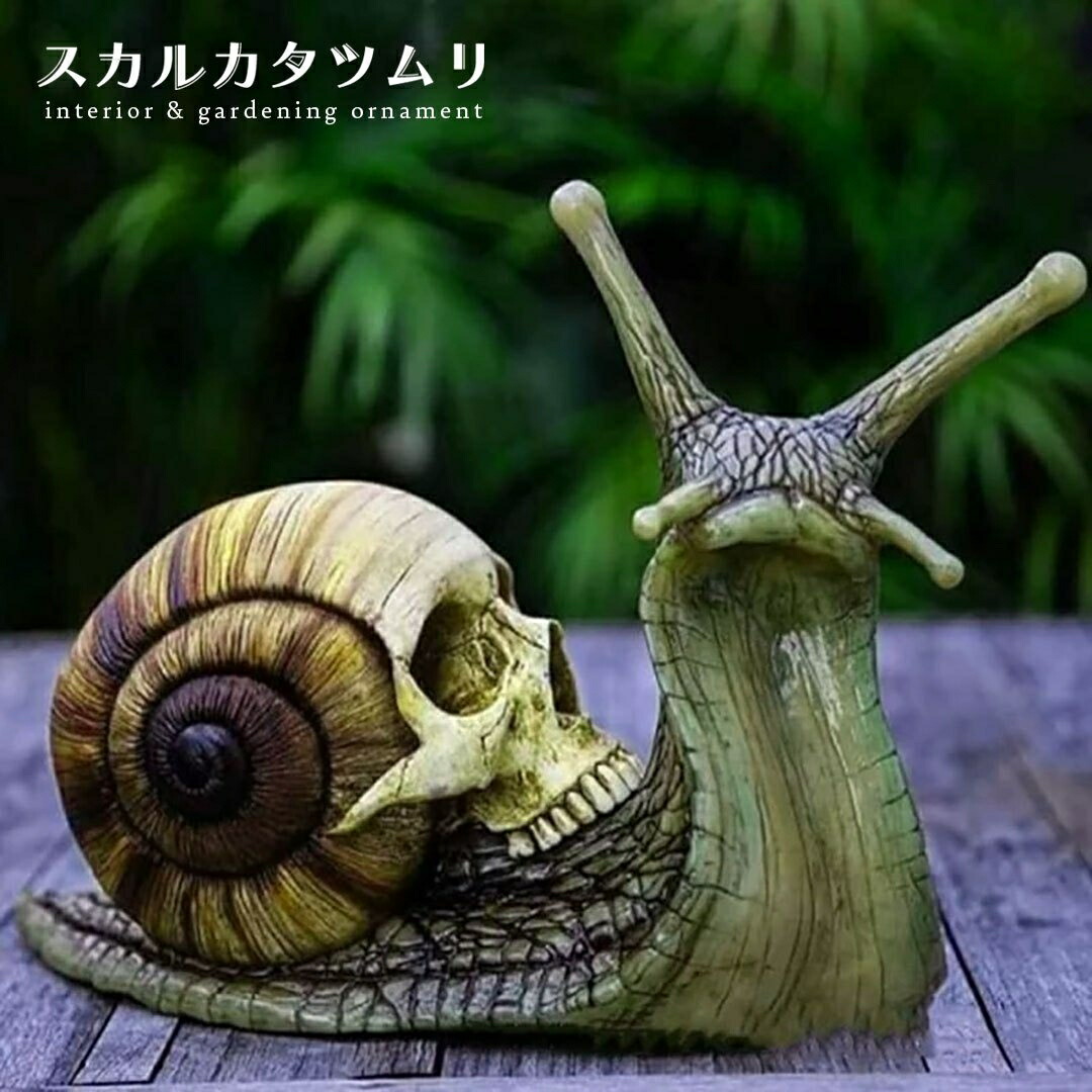 楽天市場】スーパーセール10％OFF 3/11終了 【人気商品】【在庫限り