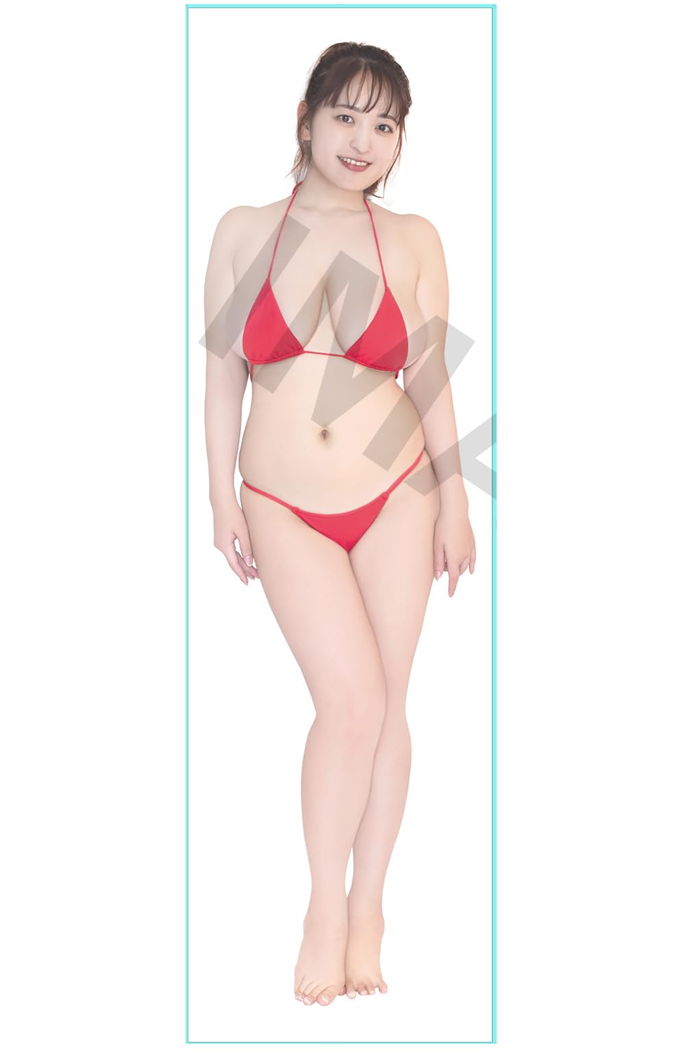 楽天市場】送料無料◇ホビーストック お兄ちゃんはおしまい！ 抱き枕