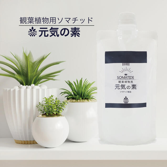 楽天市場】MedBed テスラ メドベッド ペット用 1個 メゾベット