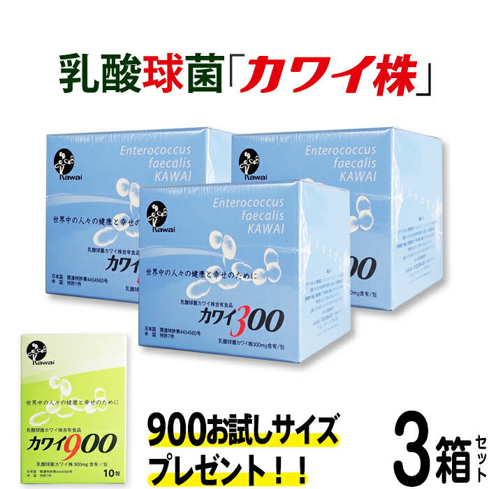 【正規代理店】カワイ300 mg ３箱セット プレゼント付き カワイ900 お試しサイズ 【 カワイ株 乳酸菌 サプリ サプリメント 粉末 乳酸球菌カワイ株含有食品 】