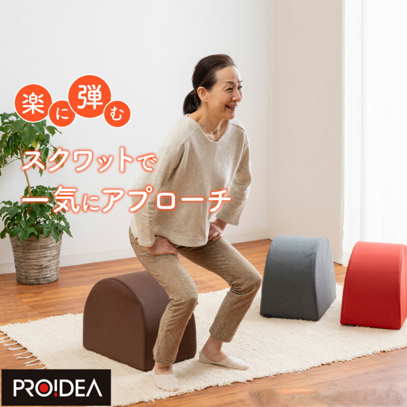 ＼お得なクーポン配布中！／ ワイドスクワットホッパー エクササイズ ストレッチ トレーニング お腹 お尻 背中 太もも スクワット 運動 パリ式 KANAMI ブラウン グレー ベイクドレッド