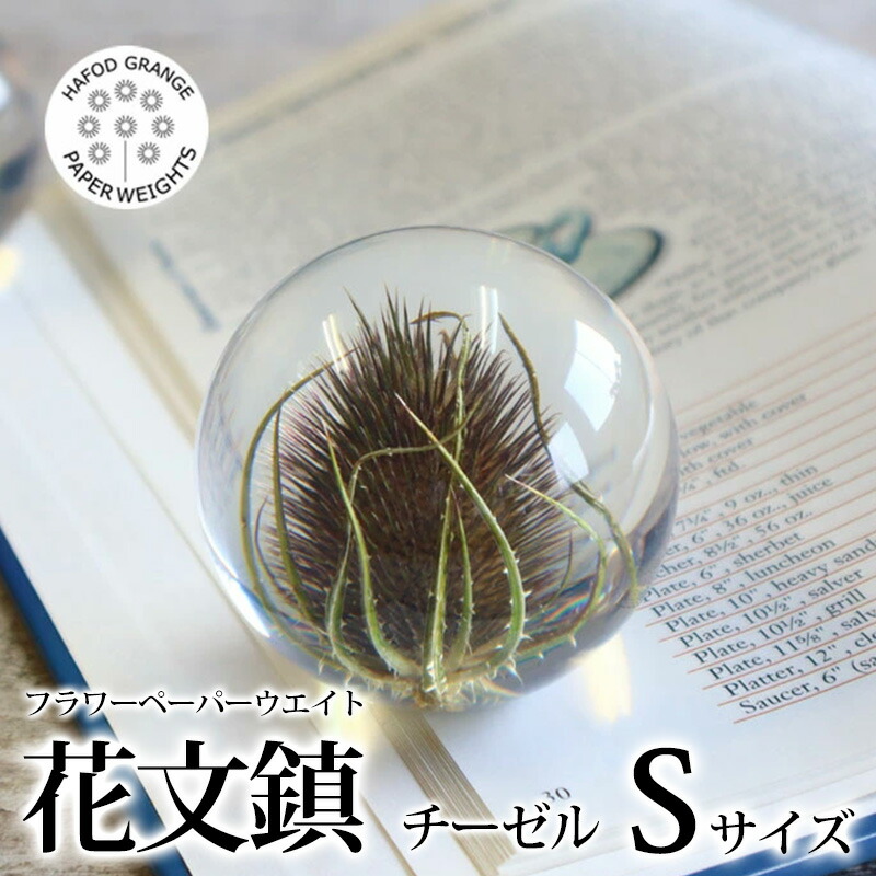 2026年06月百貨店SALE