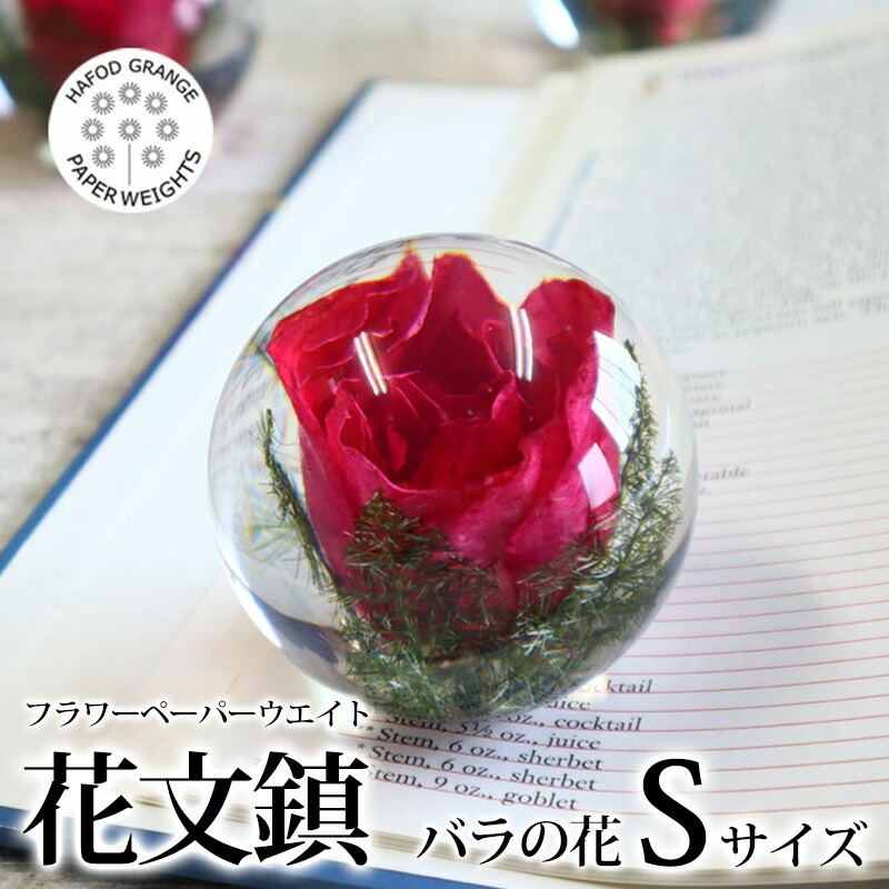 2026年06月百貨店SALE