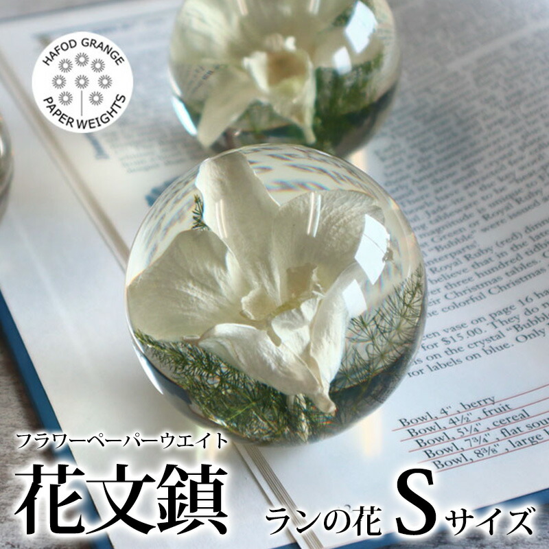 2026年06月百貨店SALE