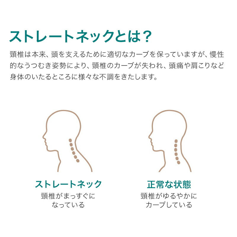 枕 まくら プレミアムストレートネック枕 肩こり 首こり 解消 消臭パイプ枕 綿100 通気性 吸汗性 消臭力up 高さ調整枕 安眠枕 快眠枕 洗える いびき対策 頸椎サポート レビューキャンペーン実施中 Schwimmbad Delphine De