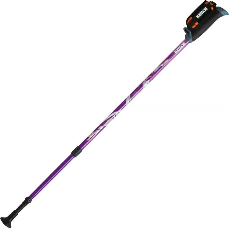 お買い得スペシャルプライス ハタチ HATACHI ウエルネス DFP プログレッシブズーム(2本組) WH1120-68