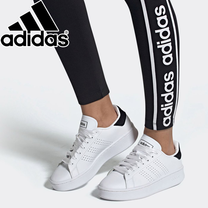 bold adidas