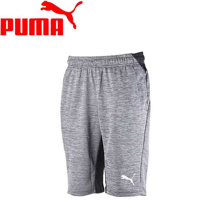 puma liga training sweat