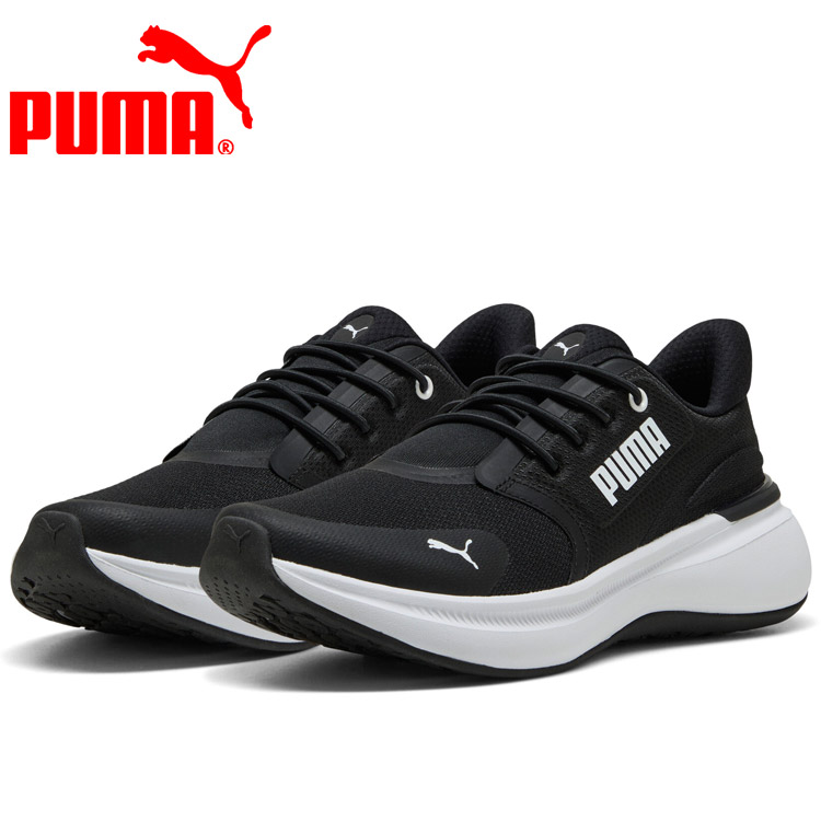 ぷー ズーマーロンホイ 125cc （動きます）