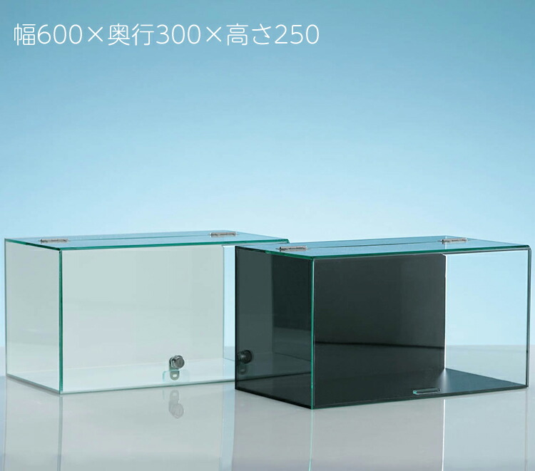 楽天市場】【No.622カギ付】 アクリル ウイング式 コレクション