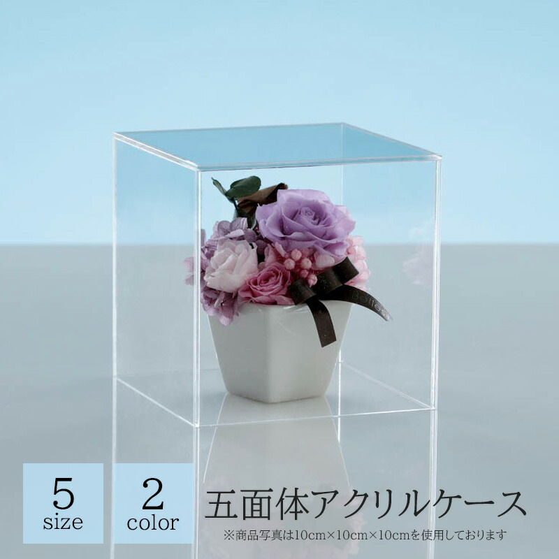 楽天市場】アクリルケース 紫外線 軽減 四面体 4面体 サイコロ