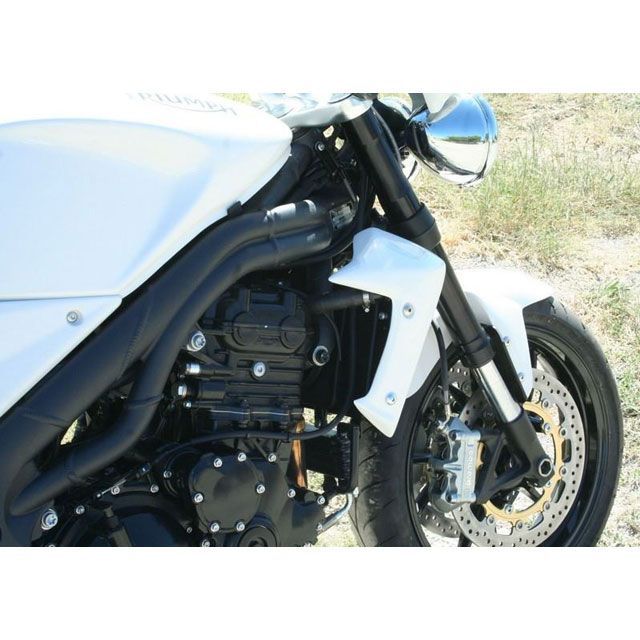 S2 Concept Radiator Scoops SPEED TRIPLE raw ｜ T1064.000 s2_T1064_000-raw S2コンセプト カウル・エアロ SPEED TRIPLE