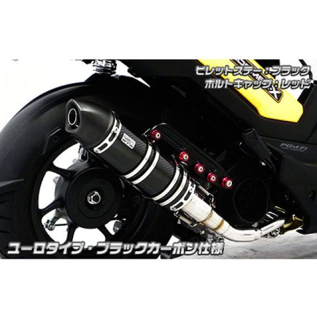 無料雑誌付き ウイルズウィン ズーマーx ズーマーx用 アニバーサリーマフラー ユーロタイプ ブラックカーボン仕様 ビレットステー シルバー ボルトキャップ ゴールド オプション オプションb Wiruswin Linumconsult Co Uk