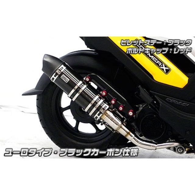 WirusWin ズーマーX用 アニバーサリーマフラー ユーロタイプ ブラックカーボン仕様 ビレットステー ブラック ボルトキャップ ゴールド オプション なし ウイルズウィン マフラー本体 ズーマーX|パークアップ 店