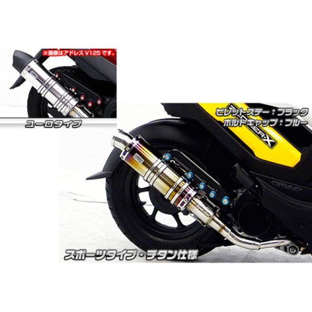 WirusWin ズーマーX用 アニバーサリーマフラー ユーロタイプ チタン仕様 ビレットステー シルバー ボルトキャップ ゴールド オプション なし ウイルズウィン マフラー本体 ズーマーX｜パークアップ 店