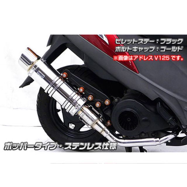 WirusWin ズーマーX用 アニバーサリーマフラー ポッパータイプ ステンレス仕様 ビレットステー シルバー ボルトキャップ ブラック オプション なし ウイルズウィン マフラー本体 ズーマーX｜パークアップ 店 43,401円