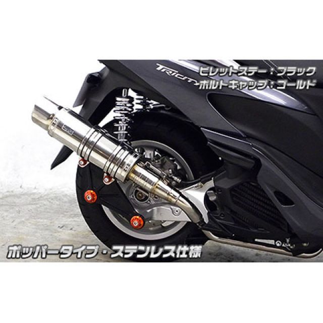 WirusWin トリシティ125用 アニバーサリーマフラー ポッパータイプ ステンレス仕様 ビレットステー ブラック ボルトキャップ シルバー オプション オプションB ウイルズウィン マフラー本体 トリシティ125