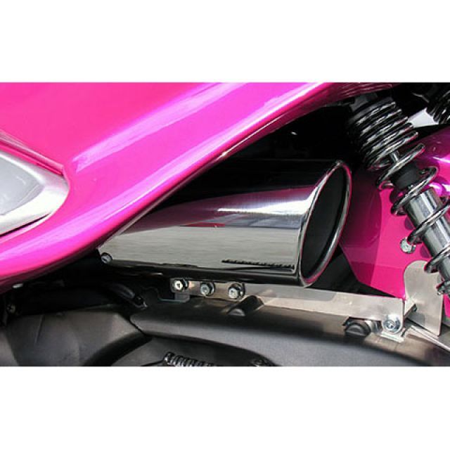 WirusWin マジェスティ125用 キャリパータイプエアクリーナーキット ウイルズウィン エアクリーナー マジェスティ125(キャブレター仕様車)|パークアップ 店