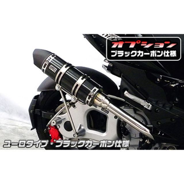 WirusWin G-MAX125用 ロイヤルマフラー ユーロタイプ O2センサー取付口装備 オプション オプションC ウイルズウィン マフラー本体 G-MAX125｜パークアップ 店