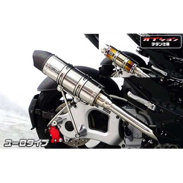WirusWin G-MAX125用 ロイヤルマフラー ユーロタイプ O2センサー取付口装備 オプション オプションD ウイルズウィン マフラー本体 G-MAX125｜パークアップ 店