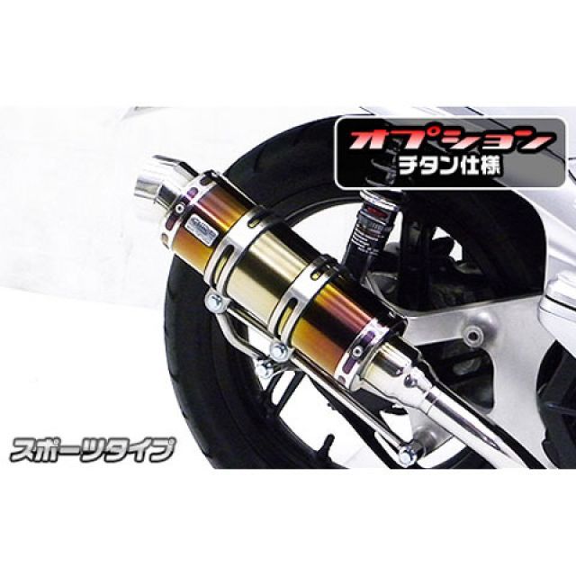 WirusWin PCX（JF56）用 ロイヤルマフラー スポーツタイプ オプション オプションD＋E（シルバー） ウイルズウィン マフラー本体 PCX