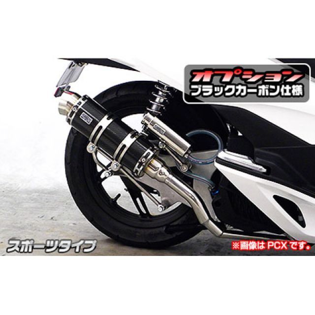 WirusWin ディオ110(JF58)用 ロイヤルマフラー スポーツタイプ オプション オプションB+C ウイルズウィン マフラー本体 ディオ110|パークアップ 店