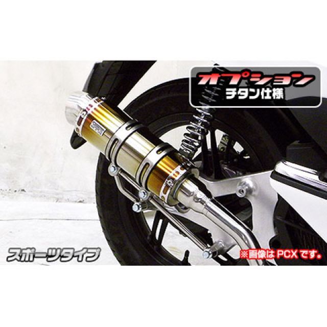 WirusWin ディオ110(JF58)用 ロイヤルマフラー スポーツタイプ オプション オプションB+D ウイルズウィン マフラー本体 ディオ110|パークアップ 店