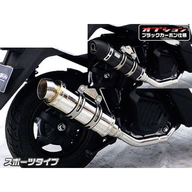WirusWin リード125（JF45）用 ロイヤルマフラー スポーツタイプ オプション オプションC ウイルズウィン マフラー本体 リード125