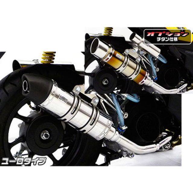 WirusWin リード125(JF45)用 ロイヤルマフラー ユーロタイプ オプション オプションD ウイルズウィン マフラー本体 リード125|パークアップ 店